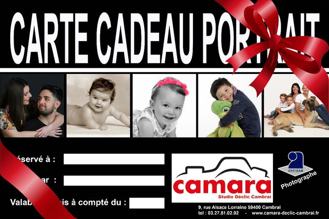 Pour Noël , offrez un portrait 
